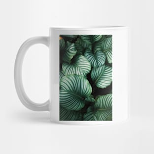 Green Hawaiian Leaves II Mug